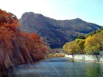 天天彩好彩天天免费，营山seo关键词优化